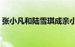 张小凡和陆雪琪成亲小说（张小凡和陆雪琪）