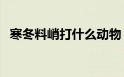 寒冬料峭打什么动物（寒冬料峭打一生肖）