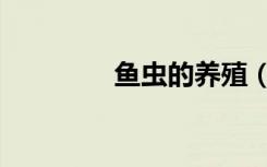 鱼虫的养殖（鱼虫怎么养）