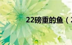22磅重的鱼（22磅重的鲶鱼）