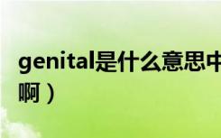 genital是什么意思中文（genital是什么意思啊）