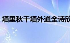 墙里秋千墙外道全诗欣赏（墙里秋千墙外道）