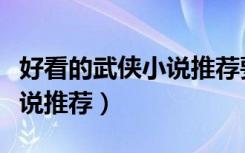 好看的武侠小说推荐要极品的（好看的武侠小说推荐）