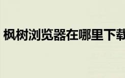 枫树浏览器在哪里下载（枫树浏览器好用吗）