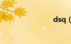 dsq（dsq）