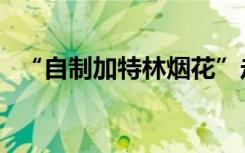 “自制加特林烟花”走红？业内人士提醒！