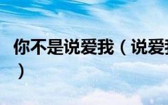 你不是说爱我（说爱我说爱我难道你不再爱我）