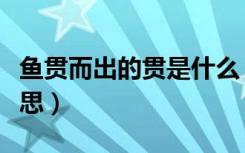 鱼贯而出的贯是什么（鱼贯而出的贯是什么意思）