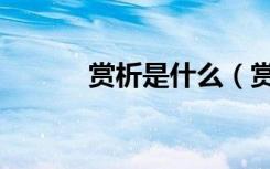 赏析是什么（赏析是什么意思）