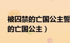 被囚禁的亡国公主誓不为后txt下载（被囚禁的亡国公主）
