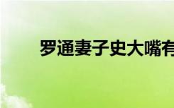 罗通妻子史大嘴有孩子（罗通妻子）
