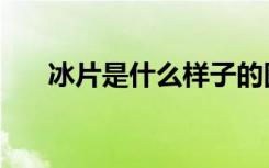 冰片是什么样子的图片（冰片是什么）