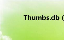 Thumbs.db（thumbs ms）