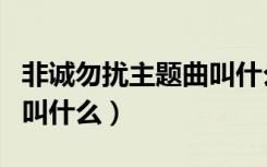 非诚勿扰主题曲叫什么名字（非诚勿扰主题曲叫什么）