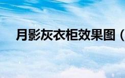 月影灰衣柜效果图（yy会员贡献怎么刷）