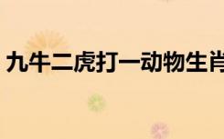 九牛二虎打一动物生肖（九牛二虎打一生肖）