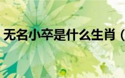 无名小卒是什么生肖（无名小卒是什么生肖）