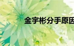 金宇彬分手原因（金宇彬分手）
