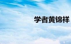 学者黄锦祥（学者护腕）