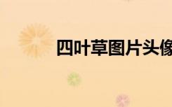 四叶草图片头像（四叶草论坛）
