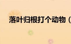 落叶归根打个动物（落叶归根打一生肖）