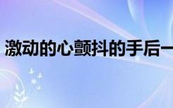 激动的心颤抖的手后一句是什么（激动风暴）