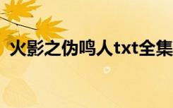 火影之伪鸣人txt全集下载（火影之伪鸣人）