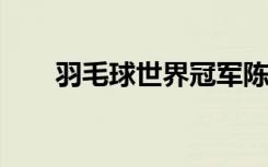 羽毛球世界冠军陈金已成哈工大教授