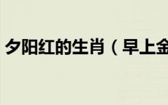 夕阳红的生肖（早上金黄夕阳红是什么生肖）