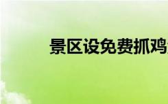 景区设免费抓鸡活动 抓到可带走
