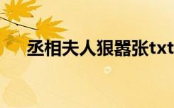 丞相夫人狠嚣张txt（丞相夫人狠嚣张）