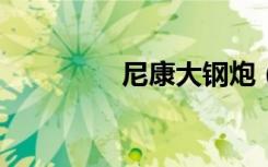 尼康大钢炮（尼康d400）