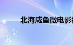 北海咸鱼微电影视频（北海咸鱼）