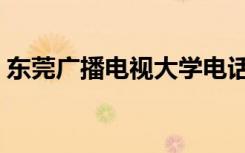 东莞广播电视大学电话（东莞广播电视大学）