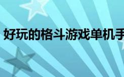 好玩的格斗游戏单机手游（好玩的格斗网游）