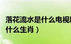 落花流水是什么电视剧里的插曲（落花流水是什么生肖）