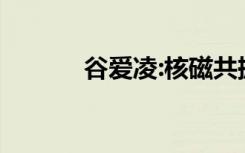 谷爱凌:核磁共振时哭了半小时