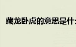 藏龙卧虎的意思是什么（藏龙卧虎的意思）