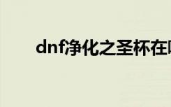 dnf净化之圣杯在哪（dnf净化装备）