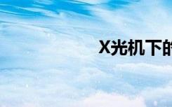 X光机下的返程行囊