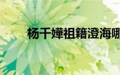 杨千嬅祖籍澄海哪里（杨千嬅祖籍）