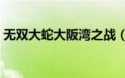 无双大蛇大阪湾之战（无双大蛇大阪城之战）
