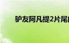 驴友阿凡提2片尾曲（驴友阿凡提2）