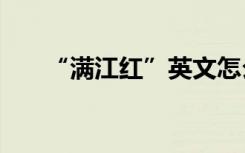 “满江红”英文怎么译才能“信达雅”