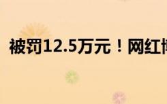 被罚12.5万元！网红博主烹食鲨鱼最新进展