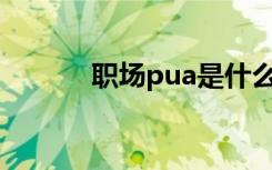 职场pua是什么（职场求爱记）