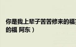 你是我上辈子苦苦修来的福完整版（你是我上辈子苦苦修来的福 阿东）