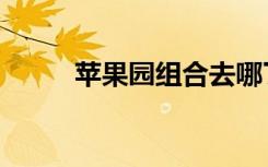 苹果园组合去哪了（苹果园组合）