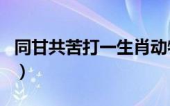 同甘共苦打一生肖动物（同甘共苦打一个生肖）