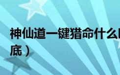 神仙道一键猎命什么时候开启（神仙道一战到底）